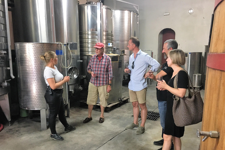 From Aix en Provence: Half-day Wine Tour in Provence Standard Option