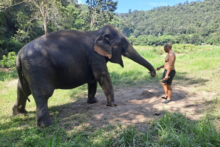 Chiang Mai: 2-Day Jungle Trek with Elephant Farm & Raft Ride Hotel Pickup and Drop-off (within Pickup Area)