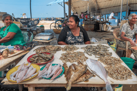 Negombo City Highlight & Local Food Tasting All Include Tour