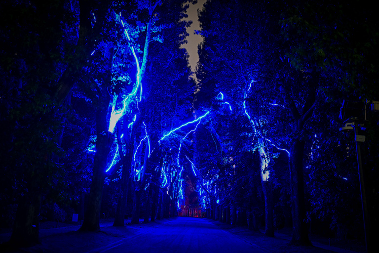 Porto: Serralves Em Luz Immersive Light Show Entry Ticket