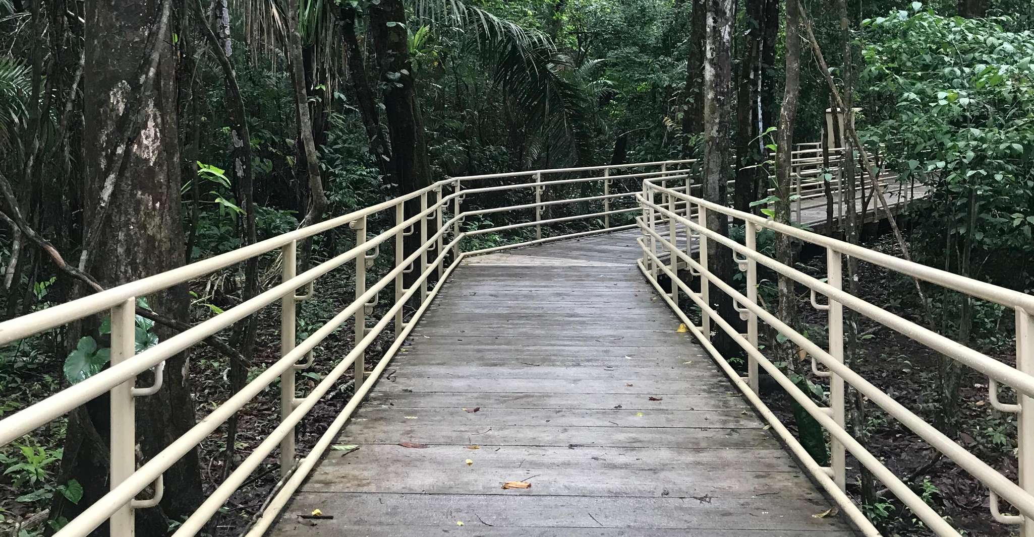 Quepos, Manuel Antonio National Park Guided Tour - Housity