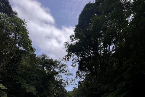 Excursion à El Yunque, rivière et toboggans aquatiques