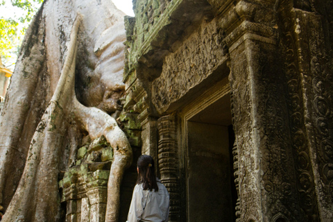 Siem Reap: Alba di Angkot Wat, guida e racconti con trasferimento