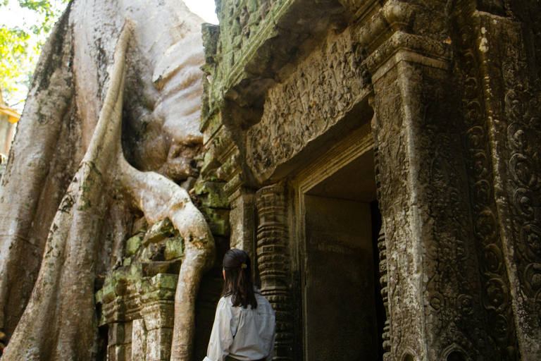 Siem Reap: Alba di Angkot Wat, guida e racconti con trasferimento