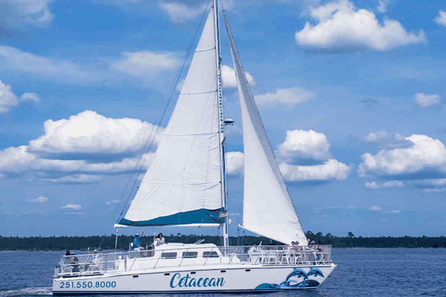 Orange Beach: Delfin- und Segelkreuzfahrt an Bord eines 52-Fuß-Katamarans. Foto: GetYourGuide