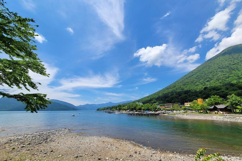 Tokio: Excursión privada de un día a Nikko con visita al Santuario de Toshogu