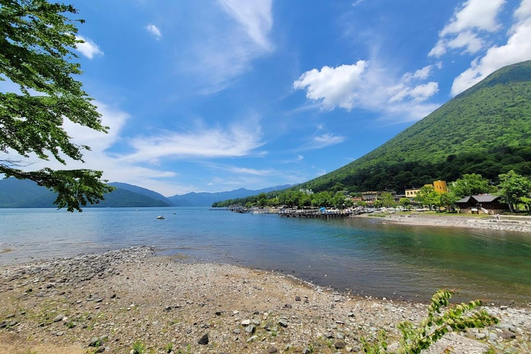 Tokio: Excursión privada de un día a Nikko con visita al Santuario de Toshogu