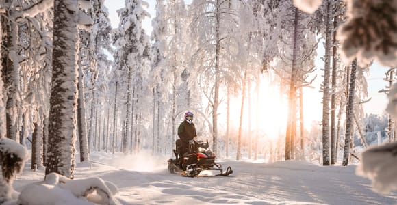 Rovaniemi, Lapland: Snowmobile Tour for Up to 8 Guests