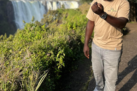 Guided Walking Tour to Victoria Falls
