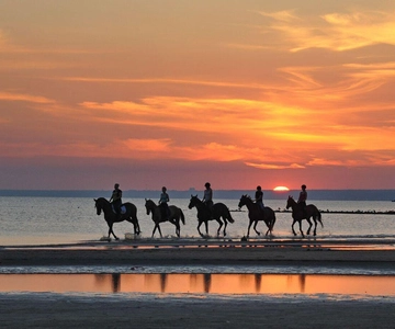 Agadir and Taghazout: Morning Horse Ride on The Beach