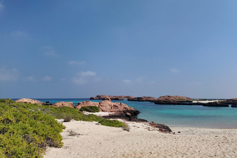 Muscat - Vivez une aventure inoubliable de plongée à deux bouteilles