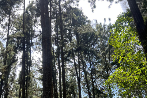 Colombo to Ambuluwawa Tower Private Day Trip 12 Hours