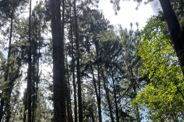 Colombo to Ambuluwawa Tower Private Day Trip 12 Hours