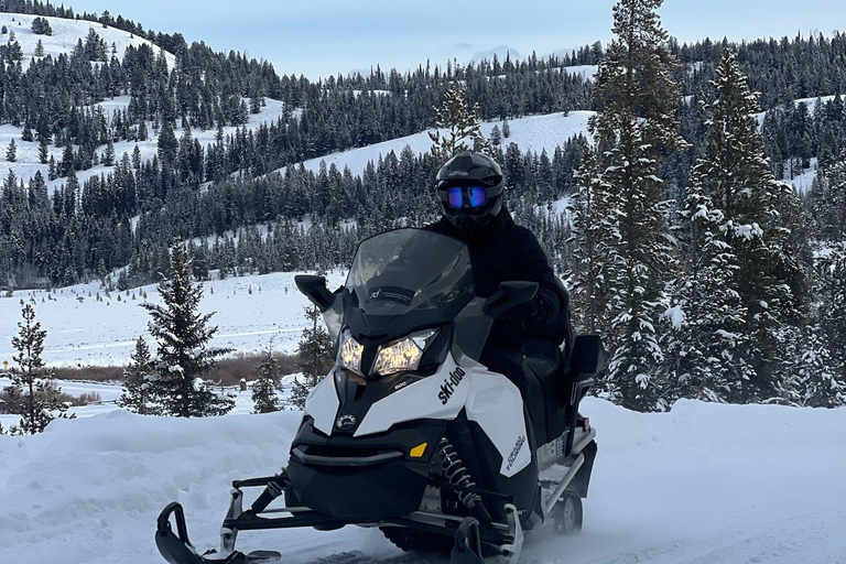 Jackson Hole: Turpin Meadow Snowmobile Tour Half-Day Morning Tour- Driver Only