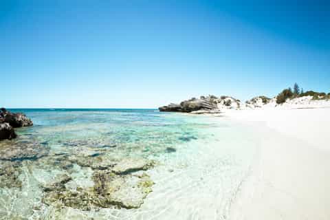 From Fremantle: Rottnest Island Ferry, Snorkel and Bike Hire