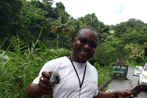 Roseau: Rainforest tour of Trafalgar Waterfalls & Geysers.