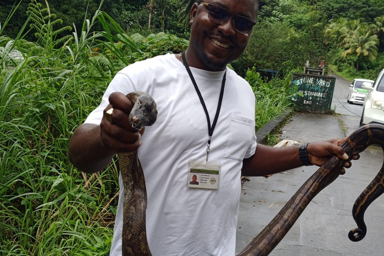 Roseau: Rainforest tour of Trafalgar Waterfalls & Geysers.