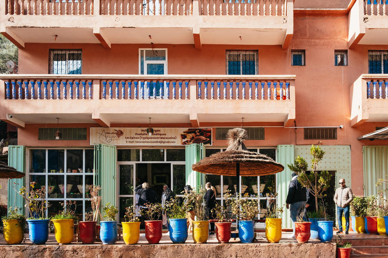 Marrakech : visite guidée de l'Atlas et des 5 valléesMontagnes de l'Atlas et 5 vallées - Visite privée