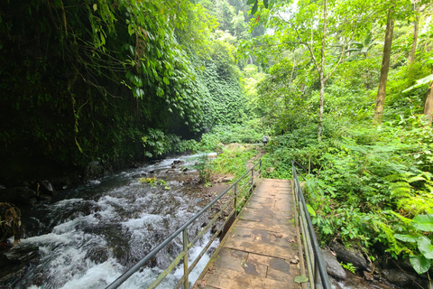 Bali Hidden Trekking, Wasserrutsche, Sekumpul, &amp; Fiji WasserfallAbholung vom Hotel und Rücktransfer zum Hotel inbegriffen