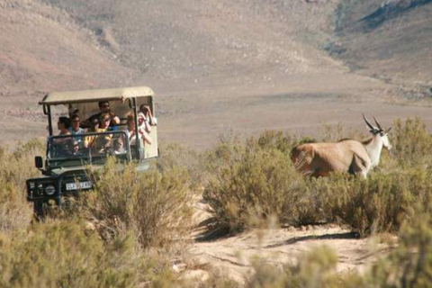 Kasane: Chobe National Park 3-Day Safari with Hotel Stay