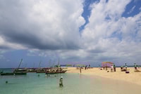 Tour Blue de Safari de dia inteiro - Housity