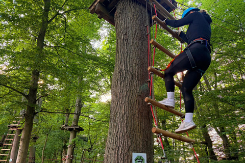 Kelkheim: Outdoor climbing experience in the forest ropes course with circuit and zip lines