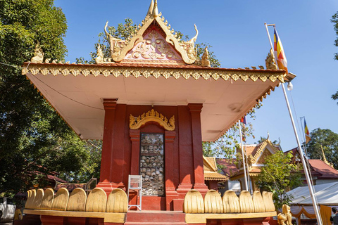 Siem Reap: City Tour, Killing Fields, & Art Haft -Day Tour Tuk Tuk Option + Tour Guide