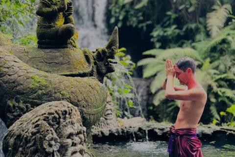 Bali: cachoeiras escondidas e visita guiada ao Templo SukawatiBali: cachoeiras escondidas e visita guiada ao templo Sukawati