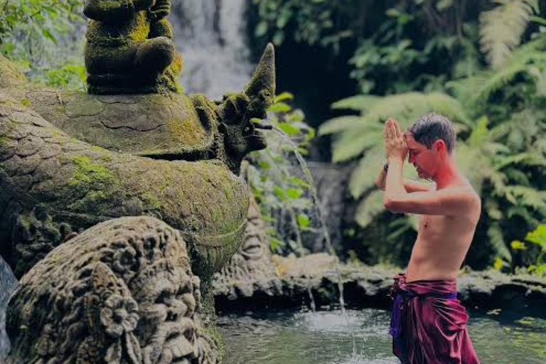 Bali: cachoeiras escondidas e visita guiada ao Templo SukawatiBali: cachoeiras escondidas e visita guiada ao templo Sukawati
