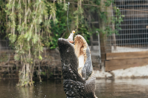 Orlando: Drive-Thru Safari Park w Wild Florida