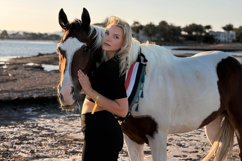 Hurghada: Swimming & Horse riding with FREE Photos & Videos 2-Hour Horse Swimming & Photos with Transfer
