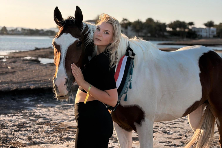Hurghada: Swimming & Horse riding with FREE Photos & Videos 2-Hour Horse Swimming & Photos with Transfer