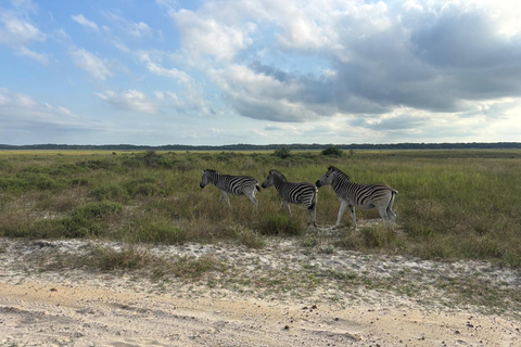 Maputo National Reserve Park Safari Excursion