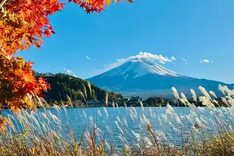 Mount Fuji Panorama Day Tour: Top 5 Must-Visit Hotspots