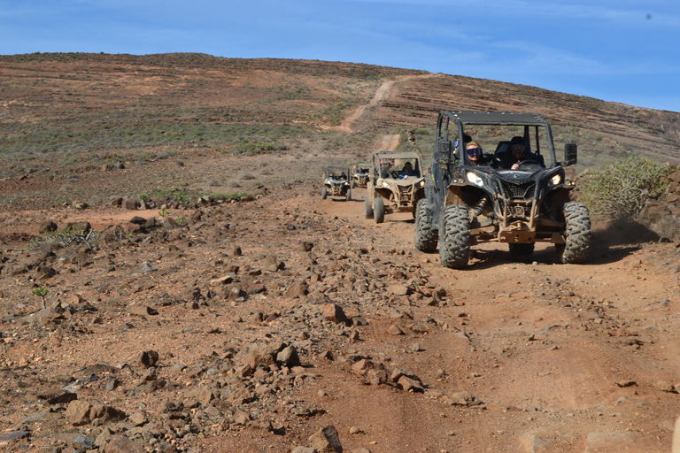 Lanzarote: Mix tour Guided Buggy Volcano Tour 4 seater