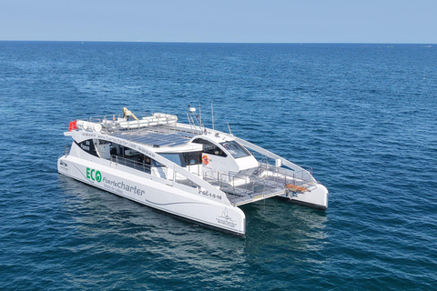 Eco Fast Ferry Mini-Cruise and Snorkel in Lobos Island