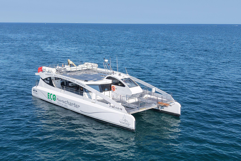 Eco Fast Ferry Mini-Cruise and Snorkel in Lobos Island