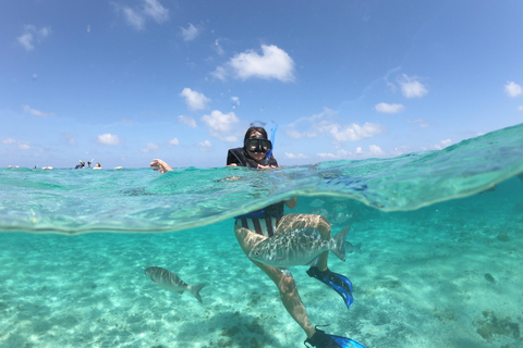 Cancun: Speedboat, Snorkeling, Dolphin Beach & Parasailing