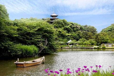 Tokyo: City One Day Private Customizable Top Places Tour