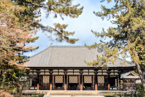 Nara: Yakushiji Tour – Toshodaiji or Sutra Copying Option Yakushiji + Sutra Copying Experience Option