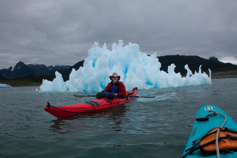 Valdez: Columbia Glacier Sea Kayak Day Tour
