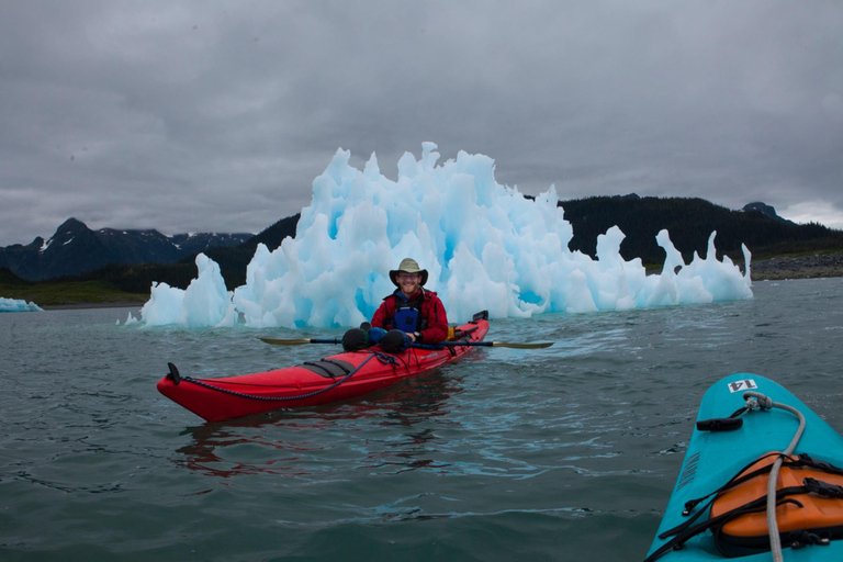 Valdez: Columbia Glacier Sea Kayak Day Tour