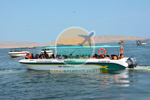 From Cruise – Ballestas and Candelabro Tour with pickup included From Arequipa: Ballestas Islands and El Candelabro Tour
