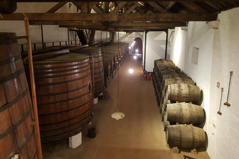 From Porto: Private Douro Valley Tour, Tasting, Boat, Lunch