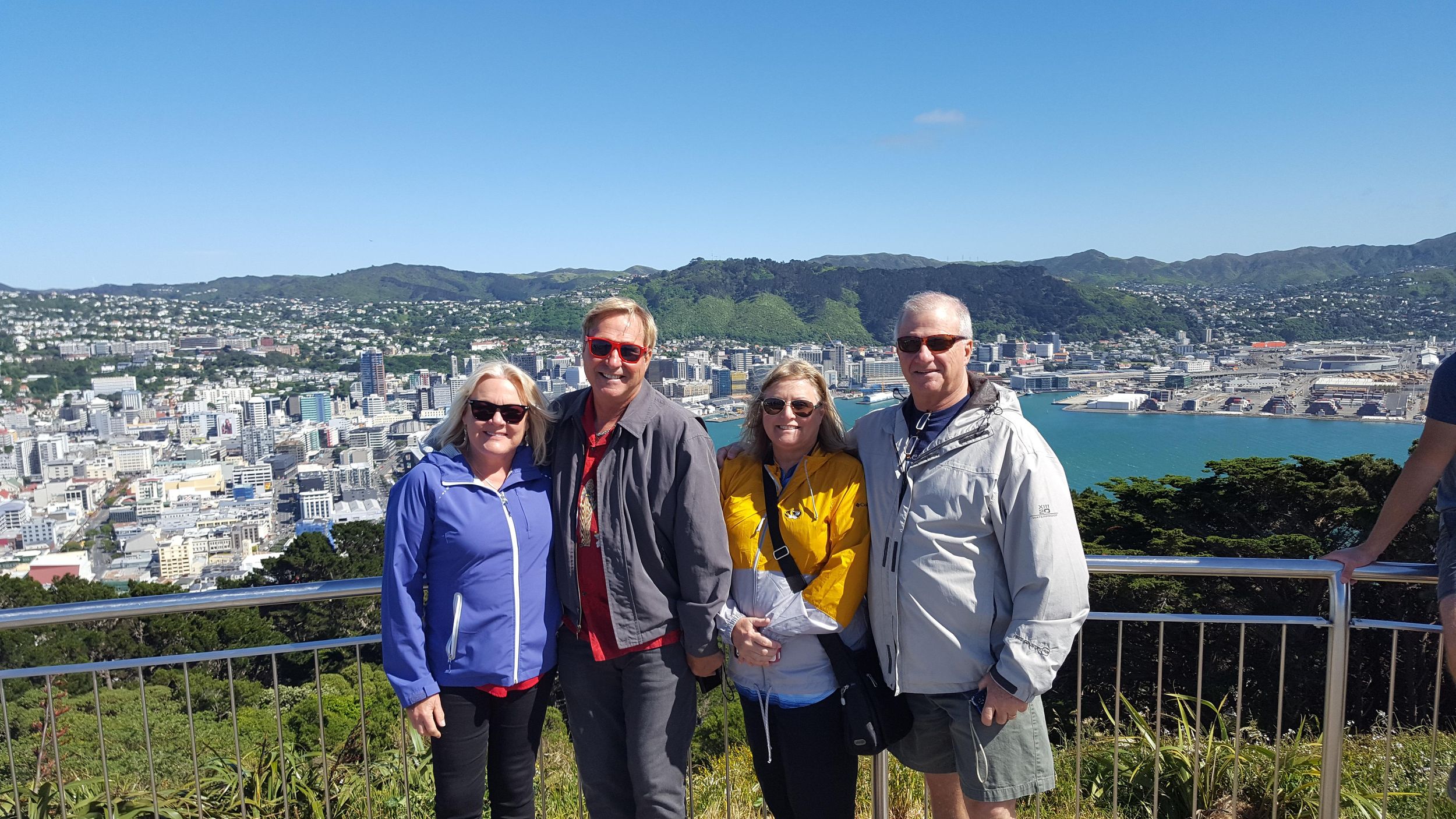 Wellington: Geführte Tour von der Stadt zur Küste mit Highlights