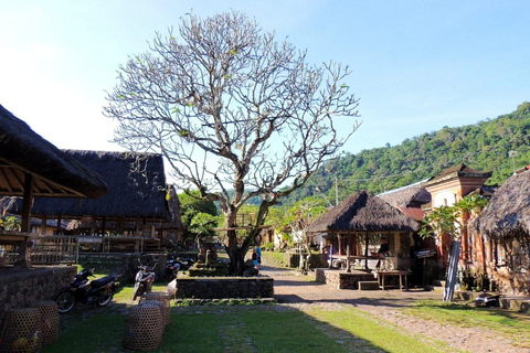 Bali : plongée avec tuba dans deux sites du Blue Lagoon, avec déjeuner et transportSnorkeling à deux sites dans le lagon bleu, rendez-vous au lieu de rendez-vous.