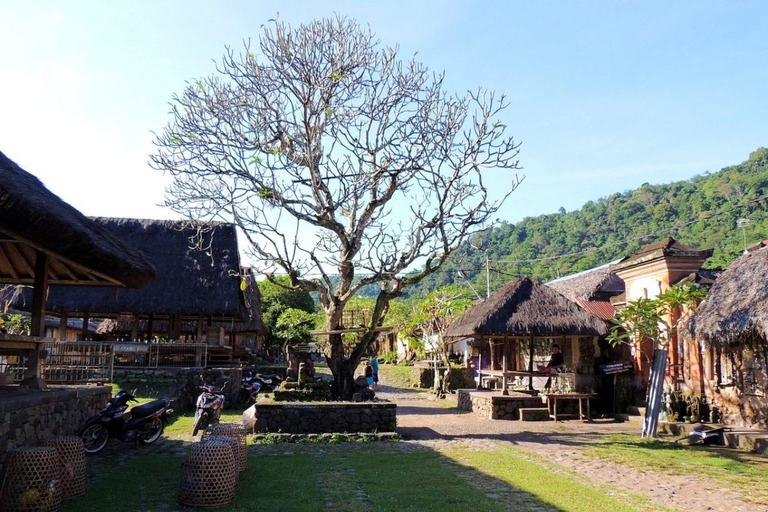 Bali : plongée avec tuba dans deux sites du Blue Lagoon, avec déjeuner et transportSnorkeling à deux sites dans le lagon bleu, rendez-vous au lieu de rendez-vous.