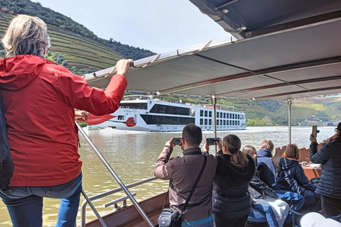 Porto: Douro Valley 2 Vineyards Tour mit Mittagessen und Flusskreuzfahrt