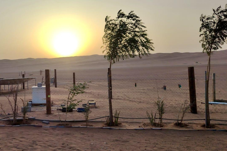 Muscat: 3-Day Oman Highlights Tour – Beach, Desert, Mountain