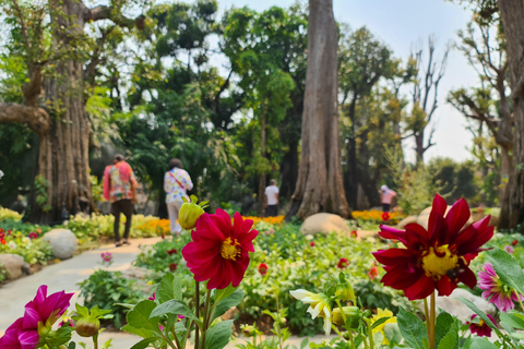 Chiangmai : Sticky waterfall &amp; Land of angels &amp; Wat ban den.